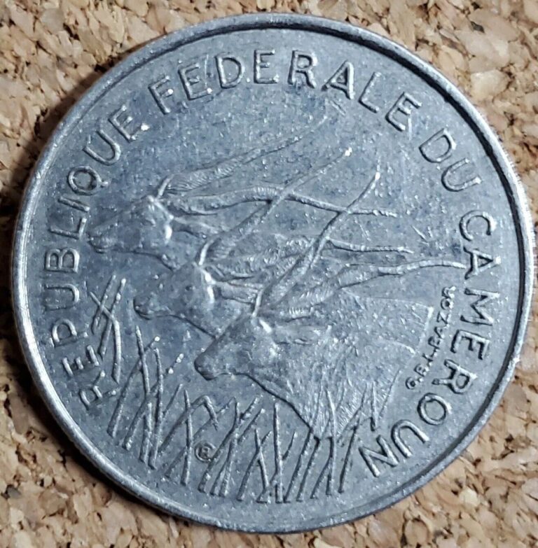 Read more about the article 1972 Cameroon 100 Francs coin