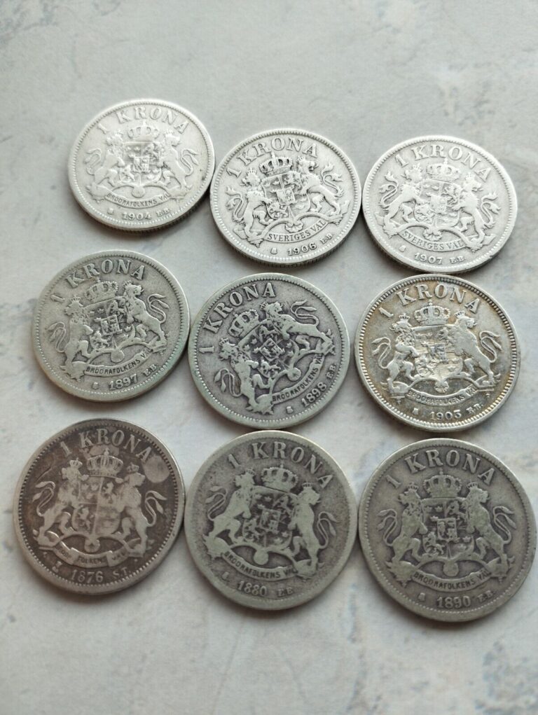 Read more about the article Lot 9 coins Sweden silver 1876- 1907
