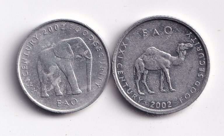 Read more about the article Lot of 2 Somalia coins  5 and 10 shillings  2002  elephant  camel