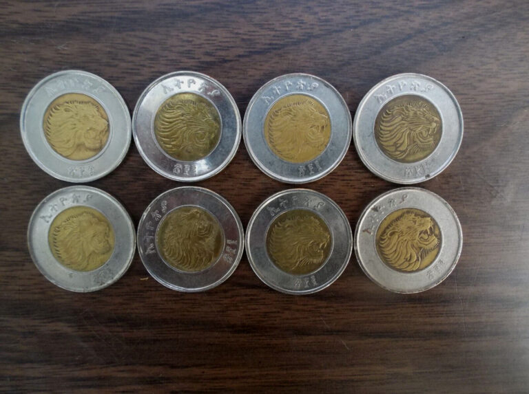 Read more about the article Lot Of 8 Ethiopian 1 Birr Collectible Coins Old Ethiopia Coin Lot Rare Money