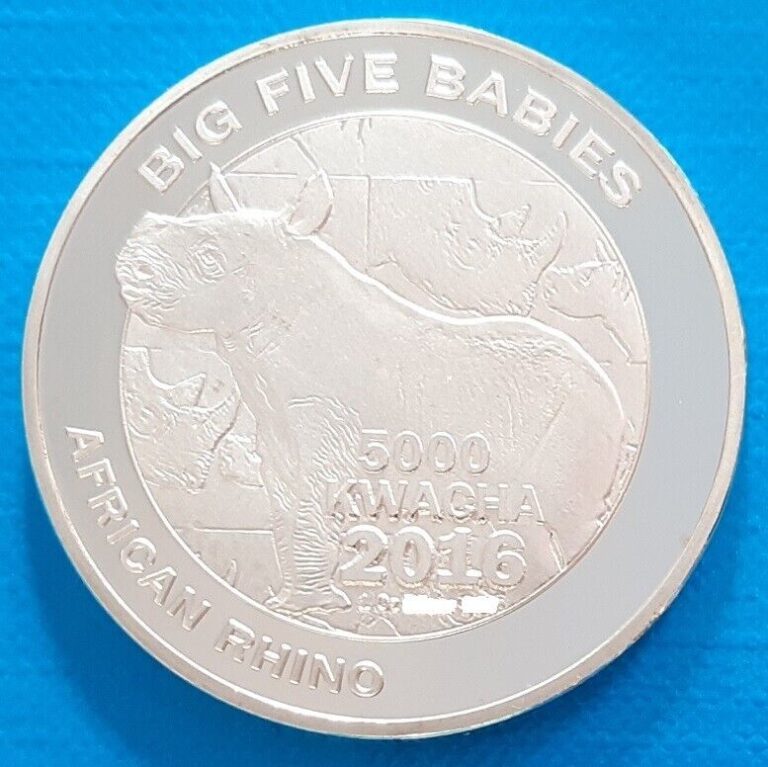 Read more about the article Zambia 5000 kwacha 2016 UNC Baby Rhinoceros Rhino Silver Plated Coin