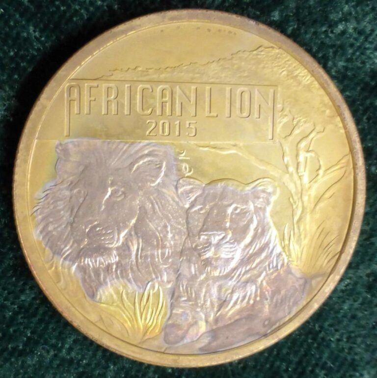 Read more about the article 2015 Republic of Burundi African Lion 5000 Francs 1oz .999 Silver coin Gold Gilt