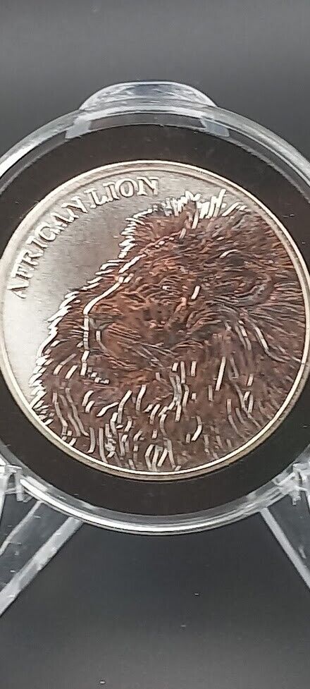 Read more about the article 2018 Chad African Lion 1 oz .999 Silver Bullion Coin