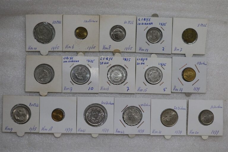 Read more about the article LIBYA MASSIVE 16 COINS COLLECTION B49 #1092