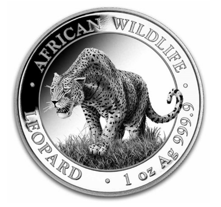 Read more about the article 2023 Somalia 1 oz Silver African Wildlife Leopard BU in capsule