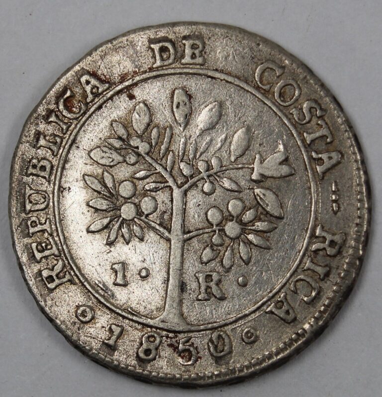 Read more about the article 1850 JB (COSTA RICA) 1 REAL (MADONNA) FEMALE BUST (SILVER)