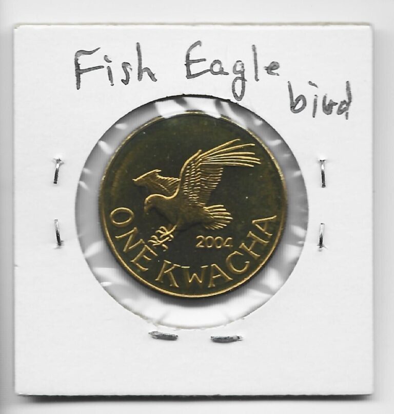 Read more about the article Malawi 1 Kwacha 2004 K65. Fish Eagle. Thick  Heavy Coin Minted in United Kingdom