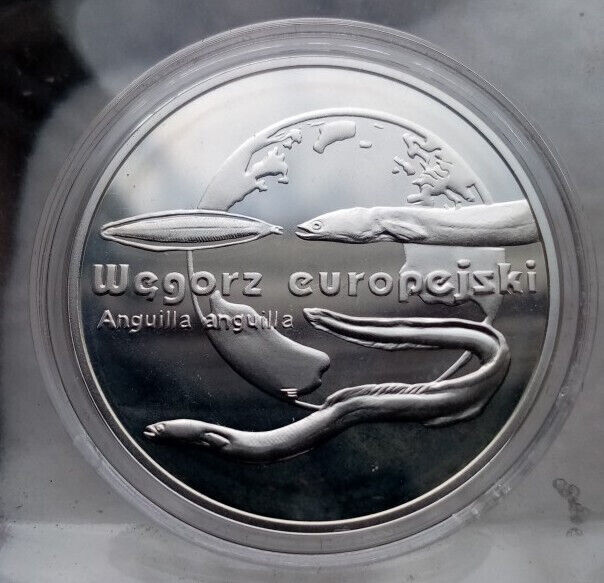 Read more about the article Poland 20zl 2003 Silver Proof Coin  European Eel RARE