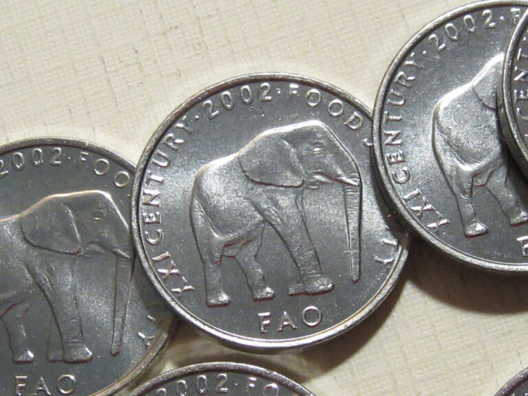 Read more about the article 2002 Somalia  BULL  ELEPHANT   5 Shilling coin    10 coin group