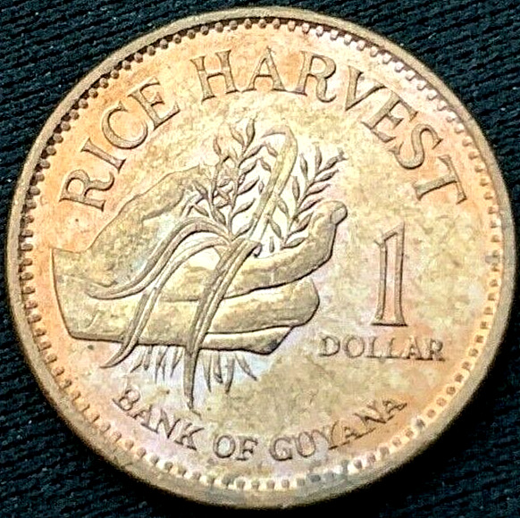 Read more about the article 1996 Guyana Dollar Coin XF AU  Hand gathering rice   #K246