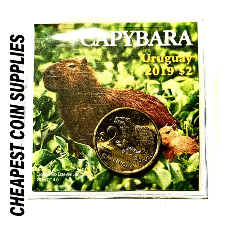 Read more about the article BU 2019 Uruguay $2 Capybara Animal Coin – Comes with Holder – Cheapest on eBay!