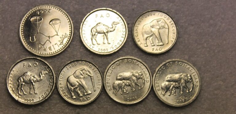 Read more about the article 7 coins from Somalia