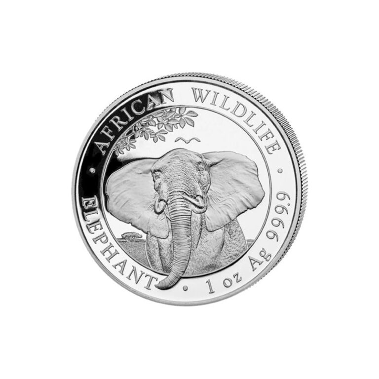 Read more about the article 2021 Somalia 100 Shillings 1 oz Silver Elephant Mint State Condition