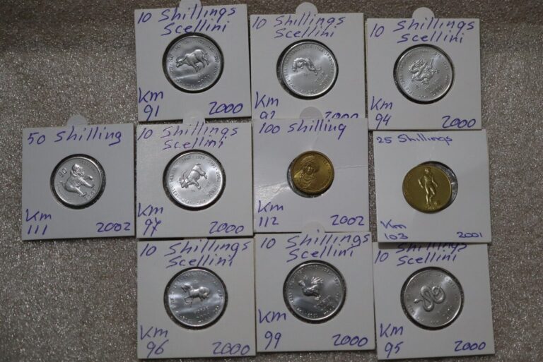 Read more about the article SOMALIA – 10 OLD COINS LOT HIGH GRADE B49 #N412