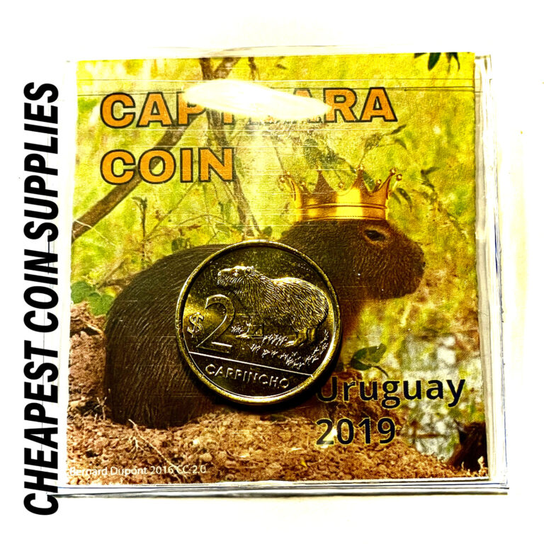 Read more about the article BU 2019 Uruguay $2 Capybara Animal Coin – Comes with Holder – Cheapest on eBay!