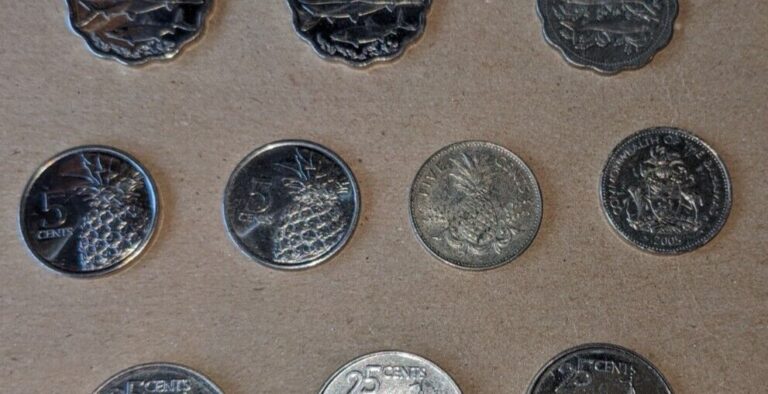 Read more about the article Bahamas 2015 and 2000 5 Cent Nickel Plated Steel Coin – National arms  – Pineapple