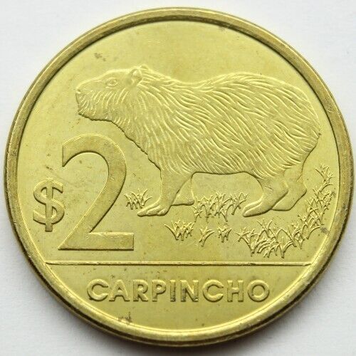 Read more about the article 2019 COIN UNC Capybara coin from Uruguay Capi Carpincho