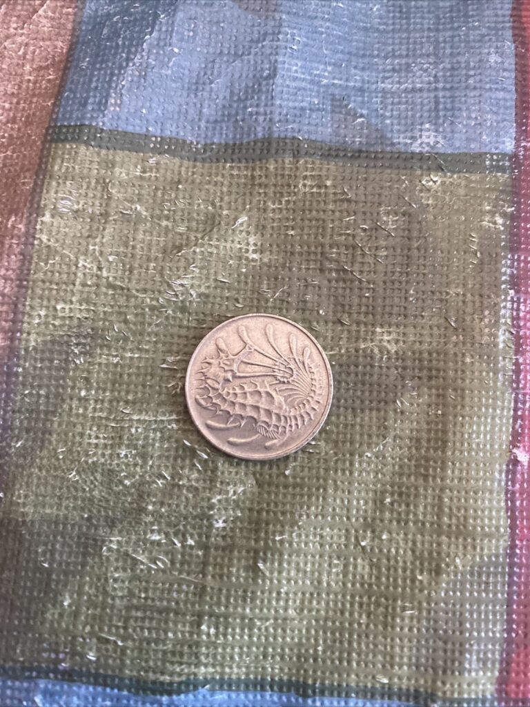 Read more about the article 1971 Singapore  10 Cents  Circulated- Coin seahorse