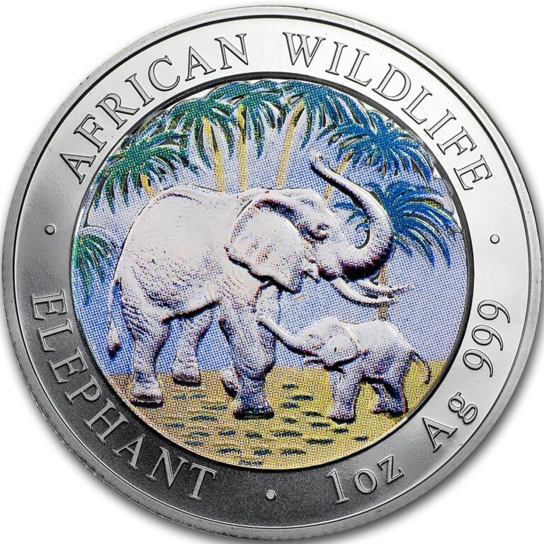 Read more about the article 2007 SOMALIA  African Wildlife COLORIZED ELEPHANT Silver Coin HARD DATE TO FIND!