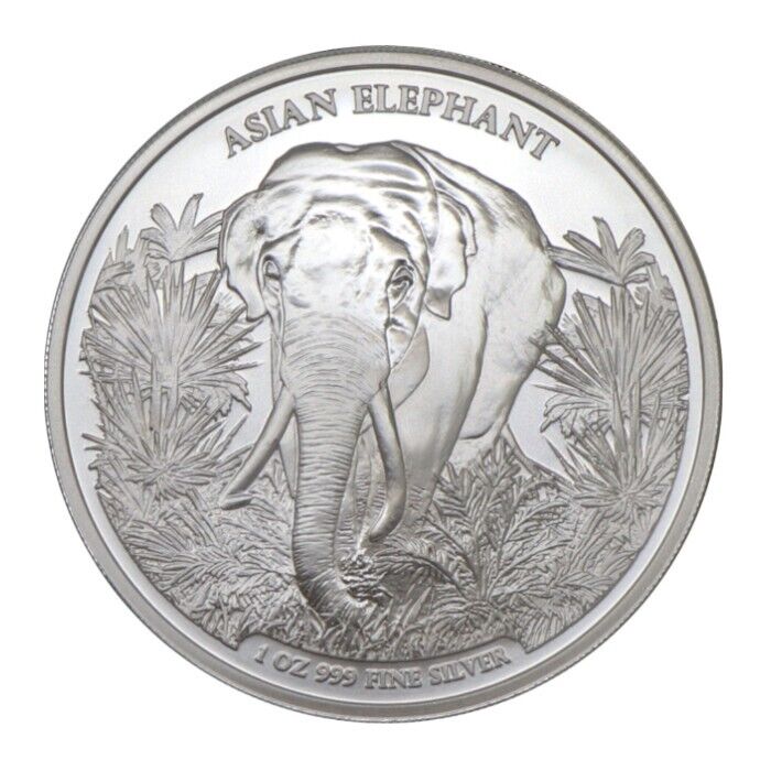 Read more about the article 2023 Cambodia Asian Elephant 1oz .999 Silver Coin BU in Capsule BIG 5