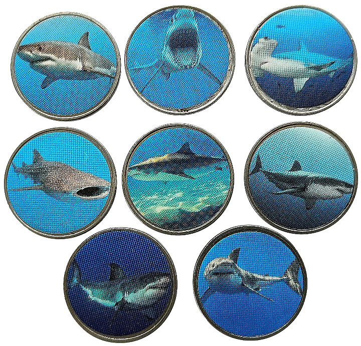 Read more about the article NAMIBIA 6 COIN SET 2020 8 X 50 CENTS FISH SHARK SHARKS COLORED UNC