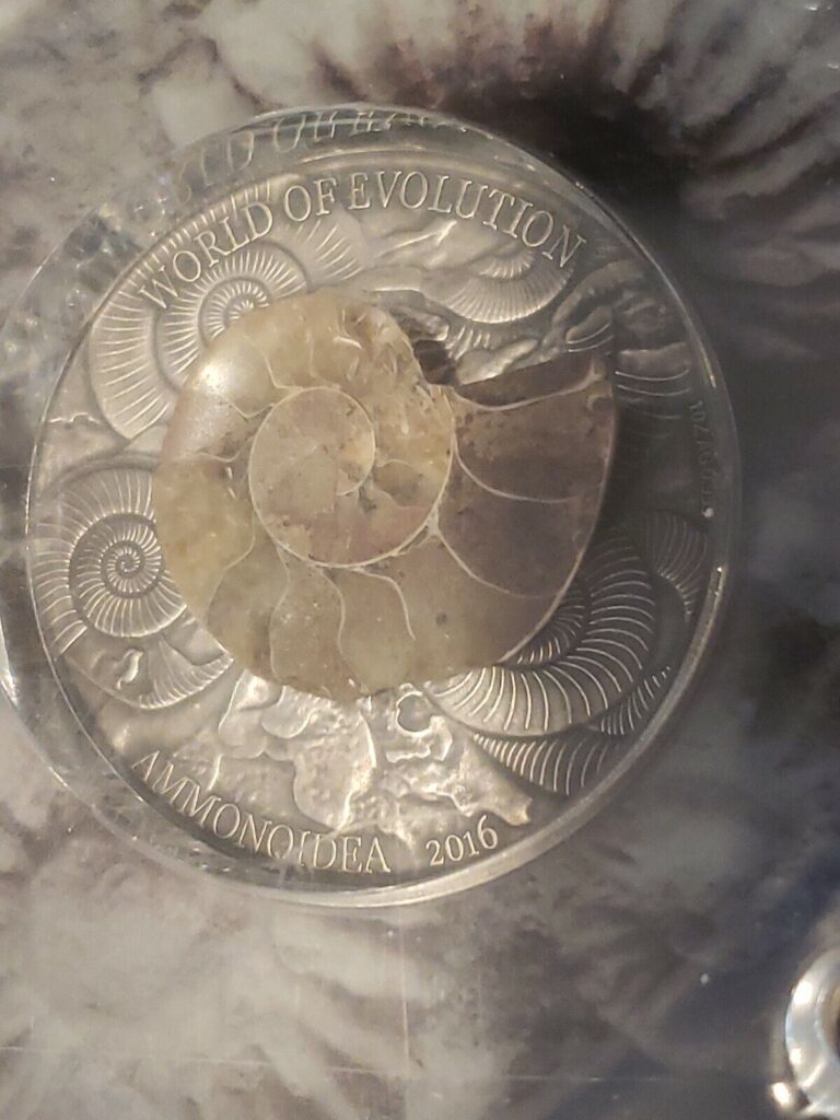 Read more about the article One ounce Silver Burkina Faso 2016 Ammonoidea World Of Evolution. Actual Fossil