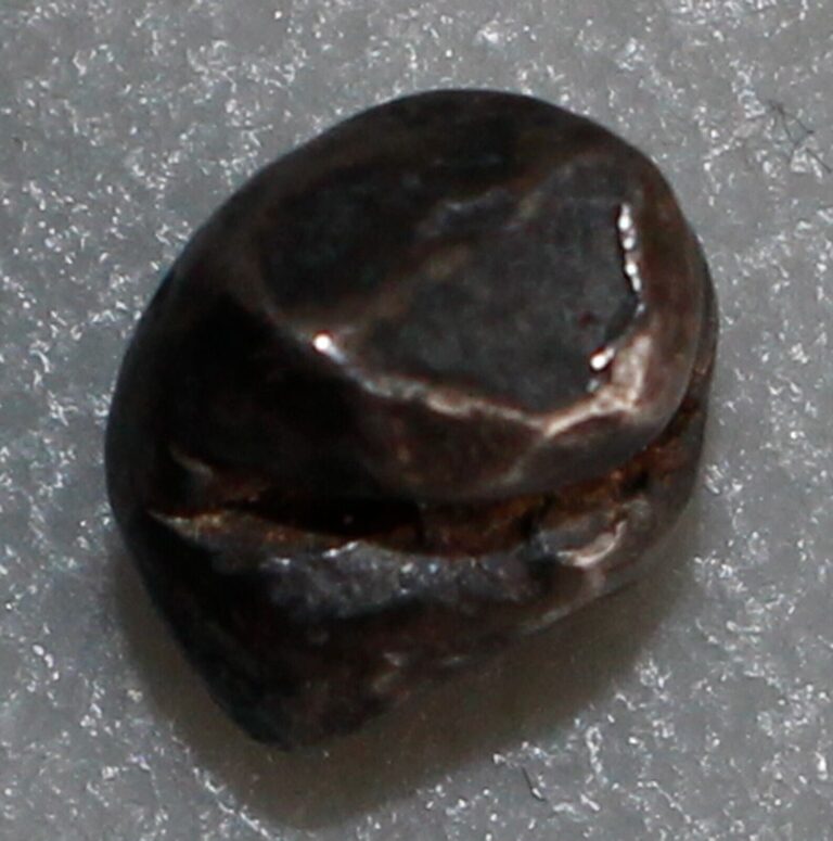 Read more about the article THAILAND BULLET COIN Silver Pod Duang Ball Money Silver 1/8 Baht Siam 1 Stamp