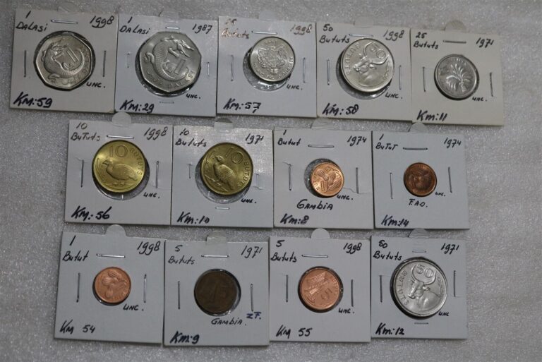 Read more about the article 🧭 🇬🇲 GAMBIA – 13 COINS LOT HIGH GRADE B49 #2477