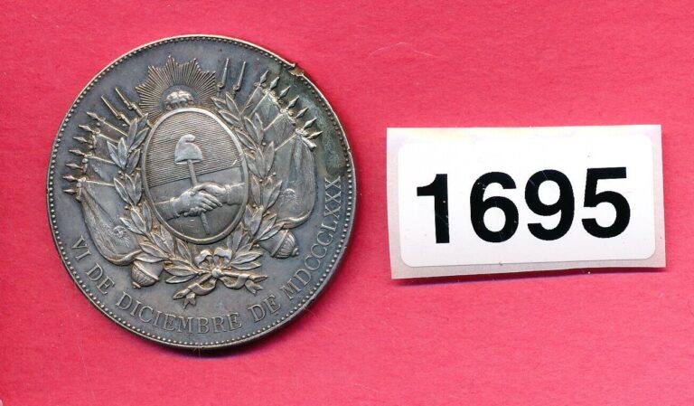 Read more about the article ARGENTINA BUENOS AIRES CAPITAL – REPUBLICA 1880 – PARIS SILVER MEDAL – 68 GRAMS