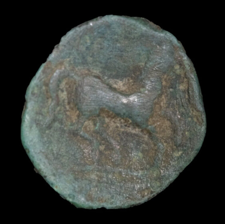 Read more about the article Philip II  359-336 BC. AE16 mm  Ancient Macedonia Greek bronze coin – Lot #6064