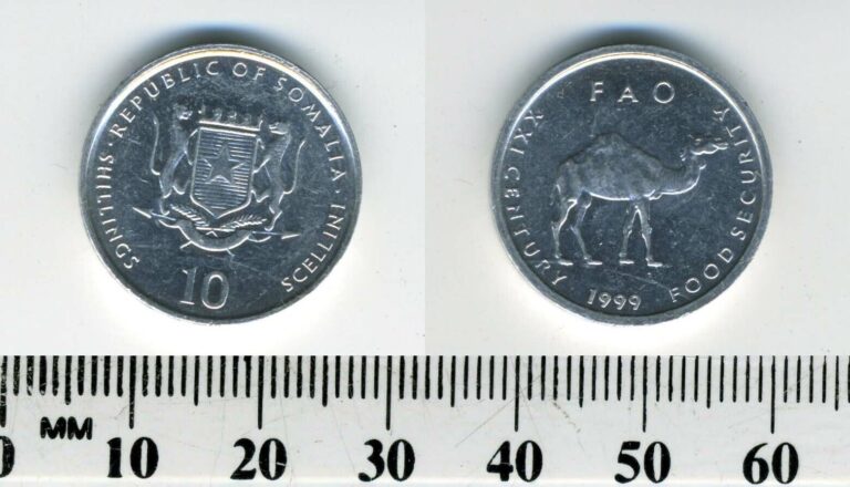 Read more about the article Somalia 1999 – 10 Shillings / Scellini Aluminum Coin – Camel – F.A.O.