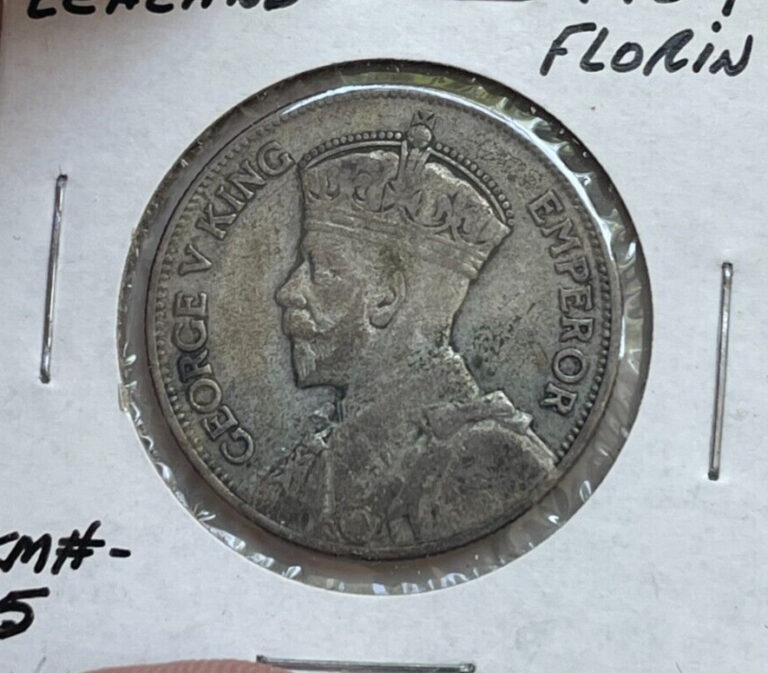 Read more about the article 1934 New Zealand 1 One Florin  bg
