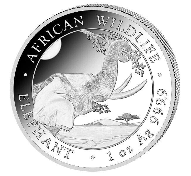 Read more about the article 2023 Somalia 1oz Silver Elephant 100 Shillings Coin