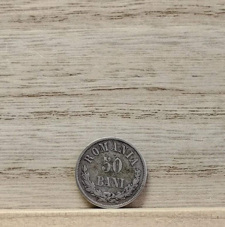 Read more about the article 1876 50 Bani Romania Coin