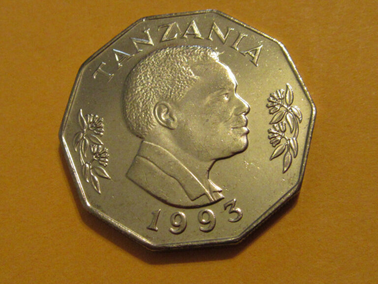 Read more about the article 1993 Tanzania coin 5 shillings unc Beauty animal coin Sweet!  F.A.O. issue  COW