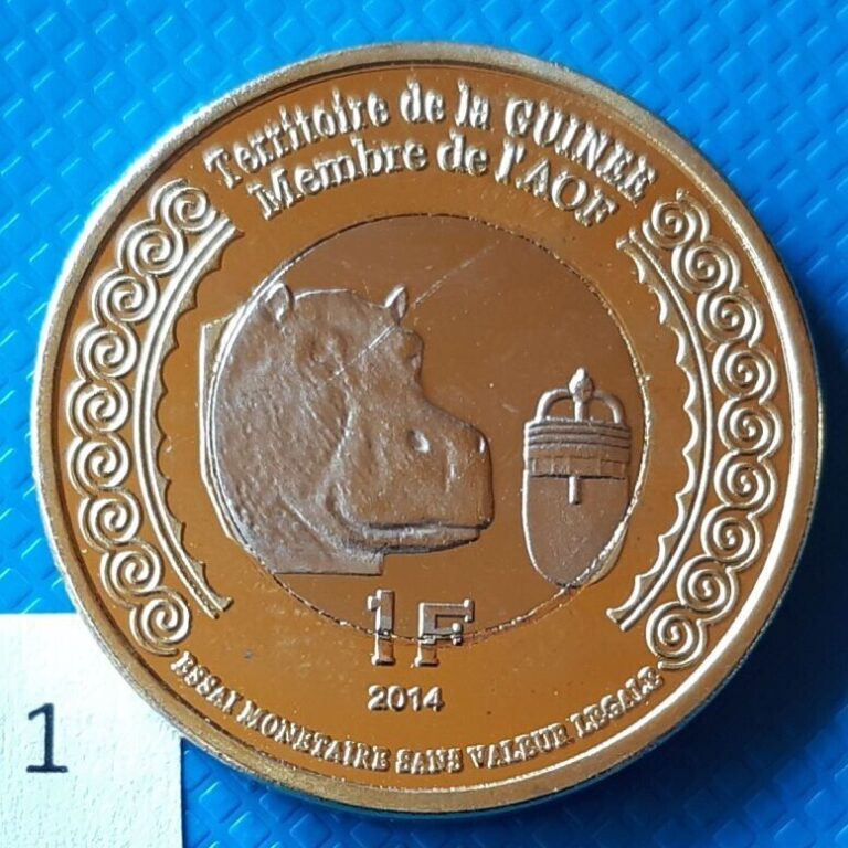 Read more about the article Guinea 1 Franc 2014 Hippo Hippopotamus Bi-metallic WWI RARE unusual coin