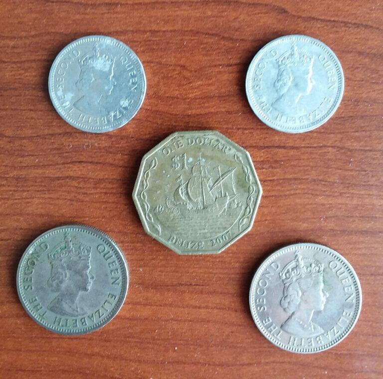 Read more about the article Lot of 5 Belize Coins Circulated 2000/2006/one dollar queen elizabeth 2007/2015