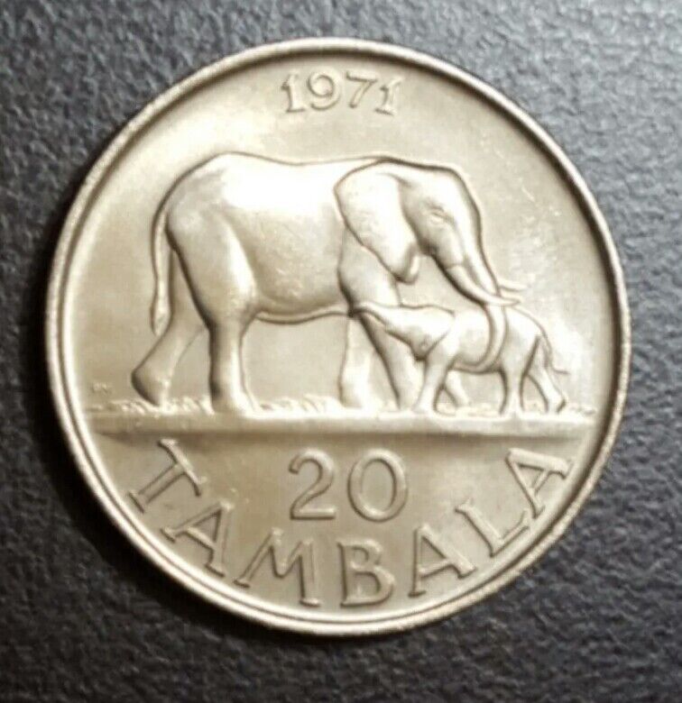 Read more about the article 1971 MALAWI 20 TAMBALA UNC BEAUTIFUL COIN ELEPHANT and CALF ANIMAL THEMATIC KM 11