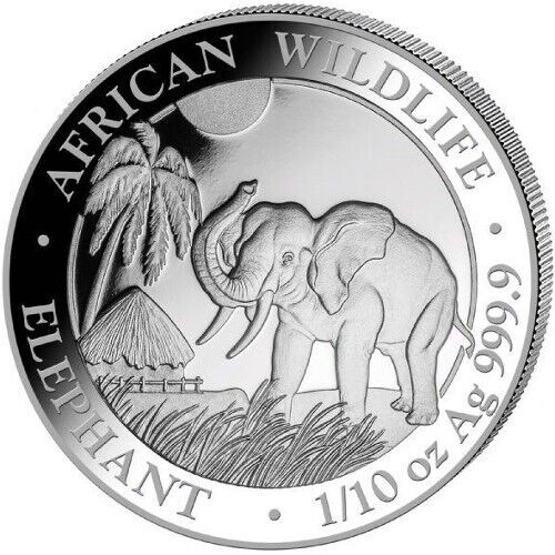 Read more about the article 1/10 oz  pure silver Somalia Elephant Coin