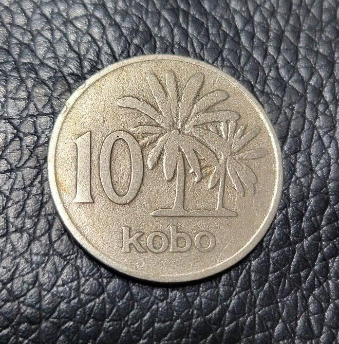 Read more about the article 1973   Nigeria 10 Kobo coin