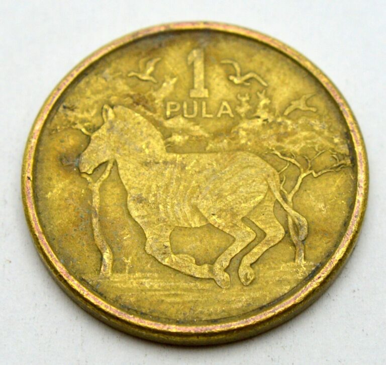 Read more about the article BOTSWANA 1 PULA 2013 OLD COIN