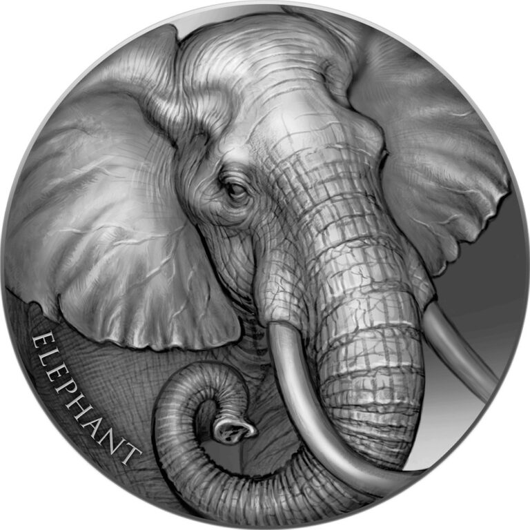 Read more about the article 2023 Cameroon Expressions of Wildlife Elephant 2oz Silver Antiqued Coin Mint 500