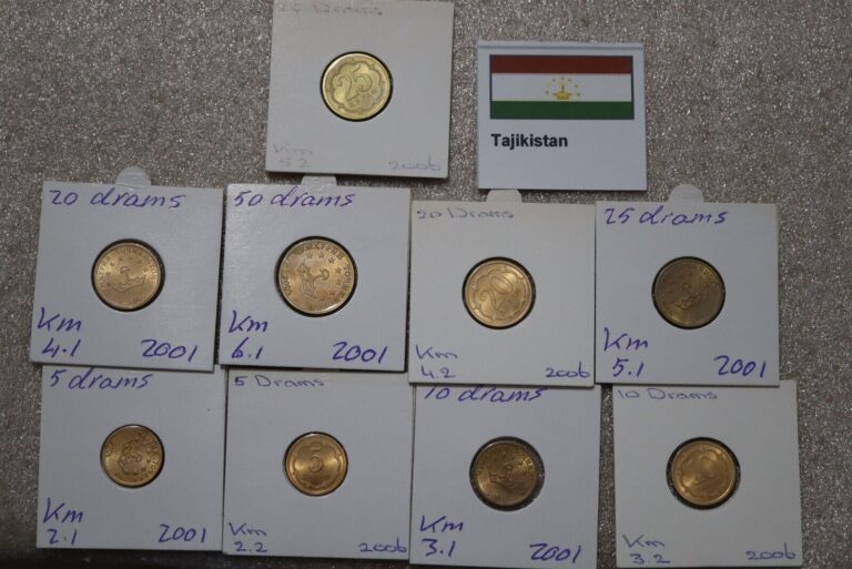 Read more about the article TAJIKISTAN – 9 MINORS COLLECTION HIGH GRADE B49 #N308