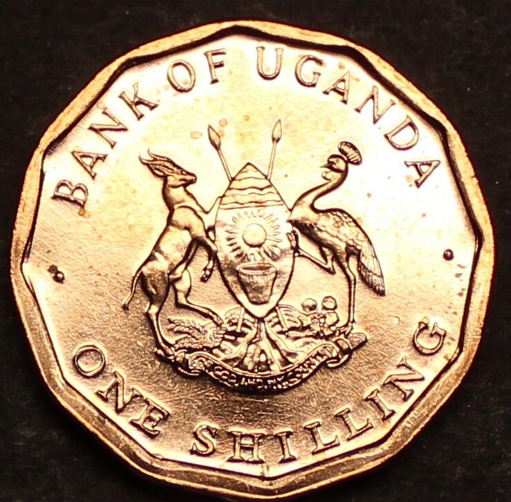 Read more about the article Uganda Shilling  1987 Gem Unc~12 Sided Coin~Only Year Ever Minted~Free Shipping