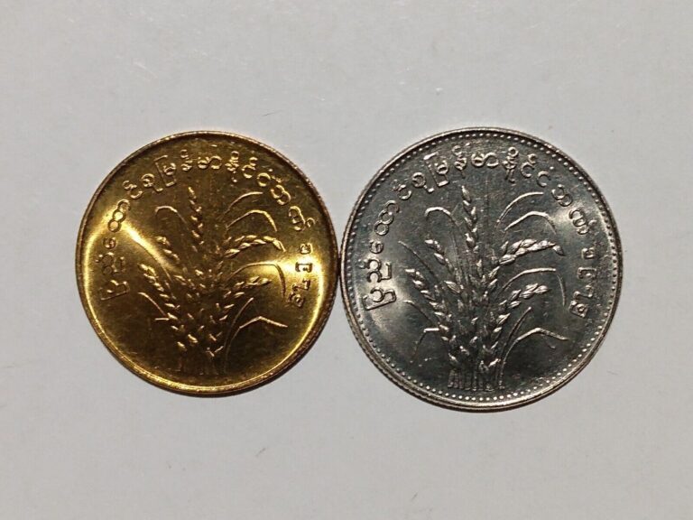 Read more about the article 1975 BURMA 50 PYAS and 1 KYAT UNC (2 COINS) BRASS and COPPER NICKEL