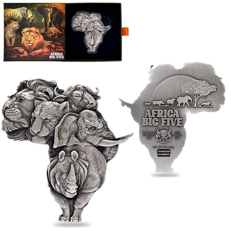 Read more about the article 1 Oz Silver Coin 2022 Chad 5000 CFA Francs Big Five Africa Shaped High Relief