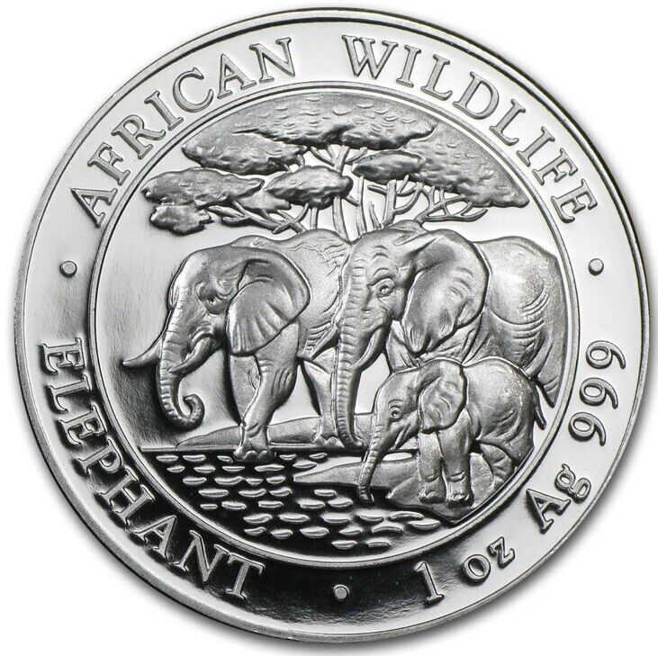 Read more about the article 2013 1 oz Somalia Elephant Silver African Wildlife Series BU .999 Prooflike Coin