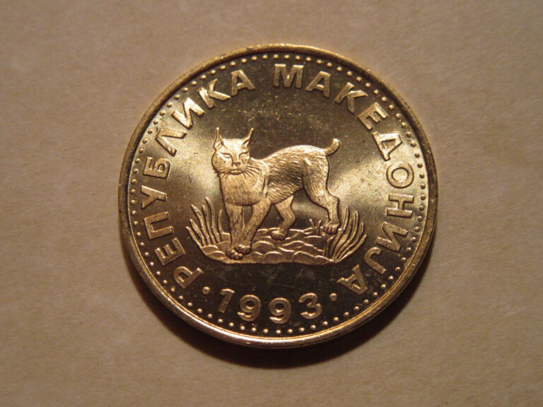 Read more about the article 1993 MACEDONIA COIN  WILD CAT euro linx  very nice large coins