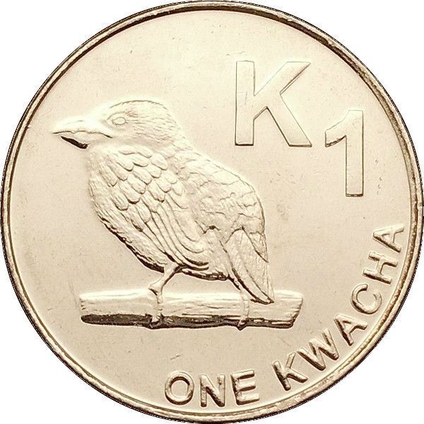 Read more about the article Zambia 1 Kwacha Coin | Chaplin’s Barbet | 2012 – 2019