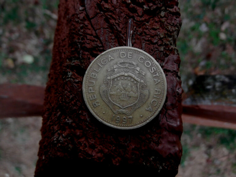 Read more about the article 1997 Costa Rica 100 Colones Coin Old Central America Coins Money Moneda Rare
